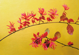 「マンサクの花」西田佳記（長崎県）