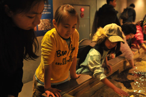 作例１魚が見えない