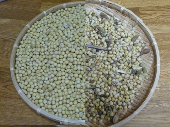 良品が2Kg