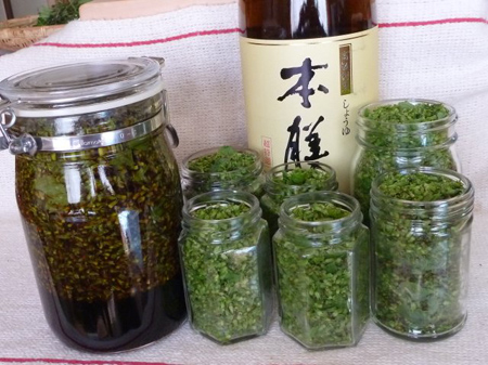 穂紫蘇