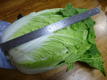 玄蕎麦処理