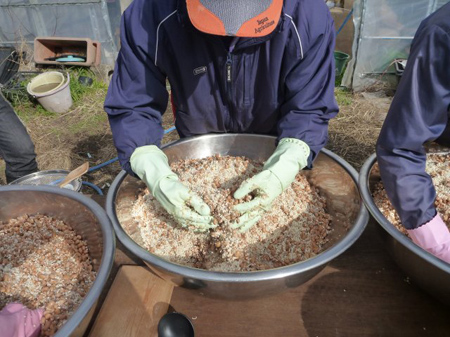 寒仕込み津久井在来大豆味噌(後編)