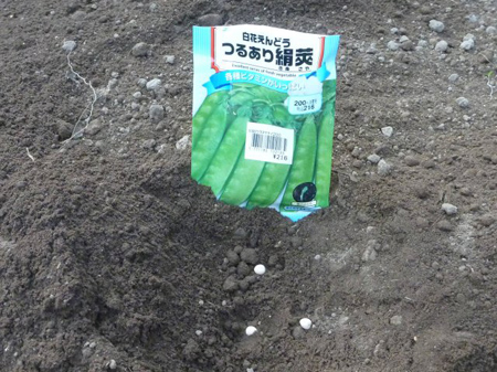 埼玉菜園(踏切障害)