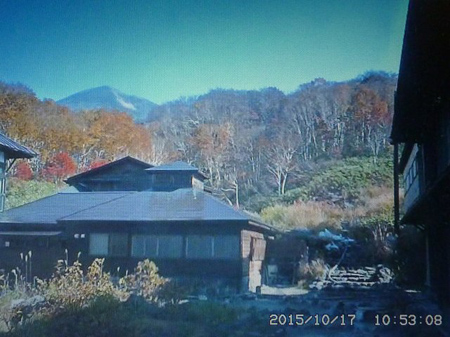 紅葉の城ヶ倉大橋
