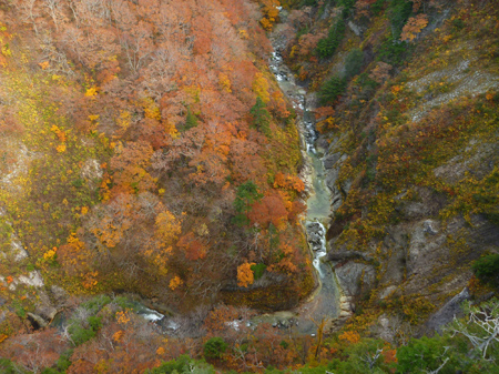 紅葉の城ヶ倉大橋
