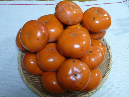 生姜の収穫