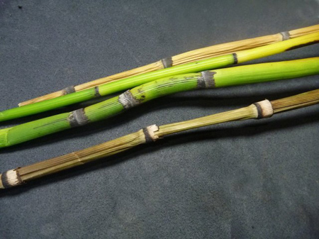 木賊の研磨力