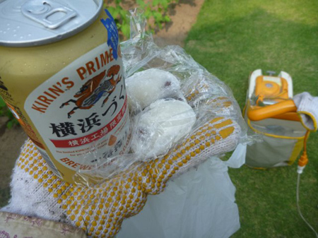 差し入れ