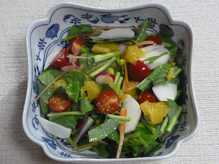埼玉菜園(育ちすぎた野菜)