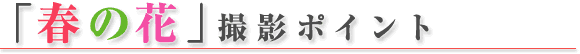 ���W �ʐ^�� ���c���c��