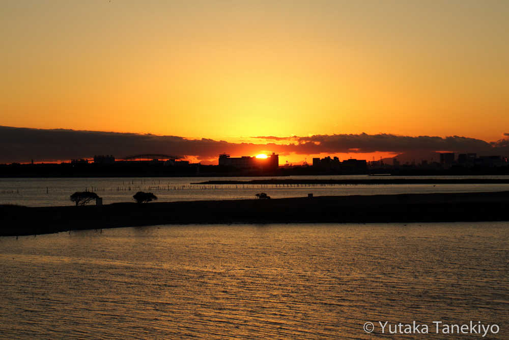 葛西臨海公園の夕陽