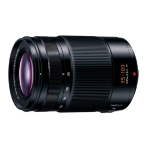 LEICA DG VARIO-ELMARIT 35-100mm / F2.8 / POWER O.I.S.