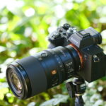 ソニー FE 100mm F2.8 Macro GM OSS｜フルモデルチェンジでさらなるマクロ撮影が楽しめるG Masterレンズ