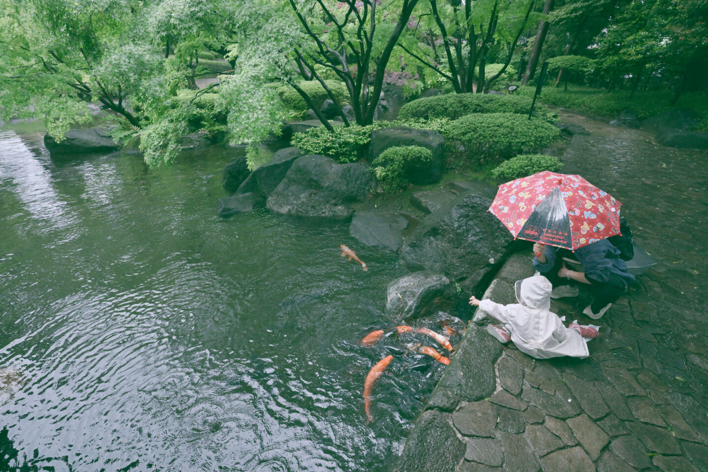 雨の日スナップのすすめ～身近な公園へ行ってみよう