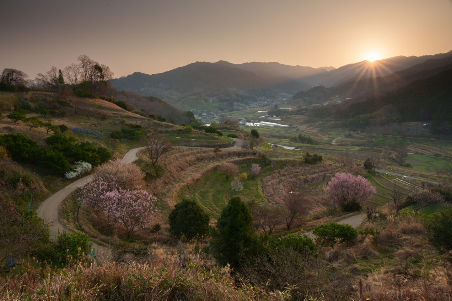 風景写真の引き出しを増やす！｜その19：Lightroomでの画像処理で作品をレベルアップ4（スマートフォン版）