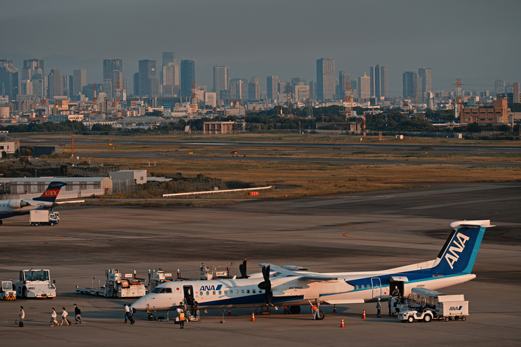 06_100-400mm F5-6.3 DG DN OS Contemporaryでの作例.jpg