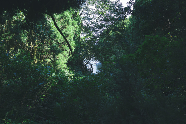 08_シグマ35mm F2 DG DN Contemporaryでの作例.jpg