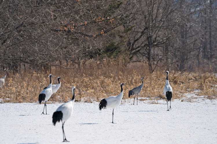 北海道での撮影写真7.jpg