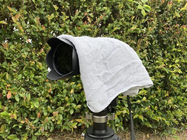 天候を味方に!条件を生かす撮影法|その2:雨天編15.jpg