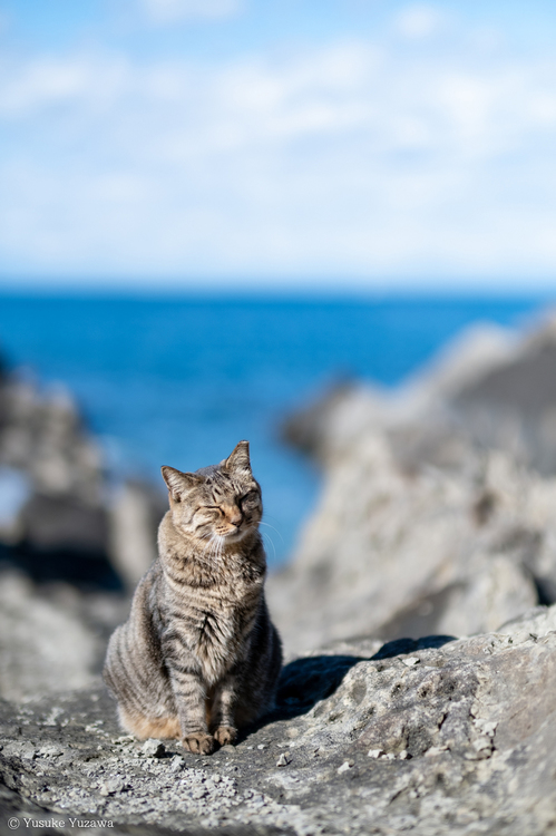 XF50mmF1.0 R WRレビュー1.jpg
