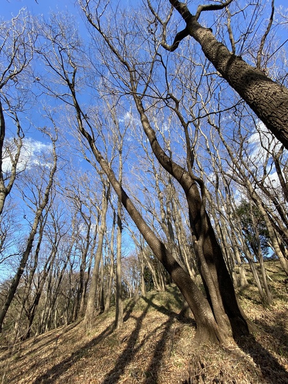 スマートフォンで風景を撮影するコツ22