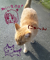 完成