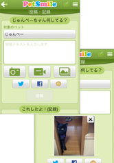 可愛いペットの写真を投稿!