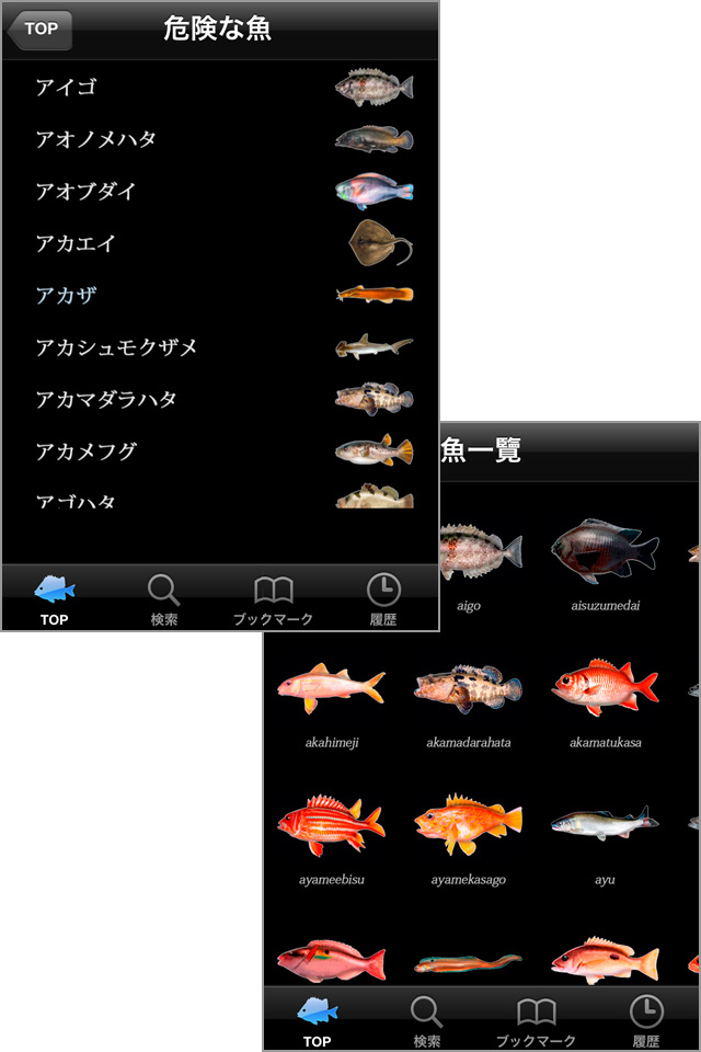 一つの魚を調べると、次から次へ検索したくなります!